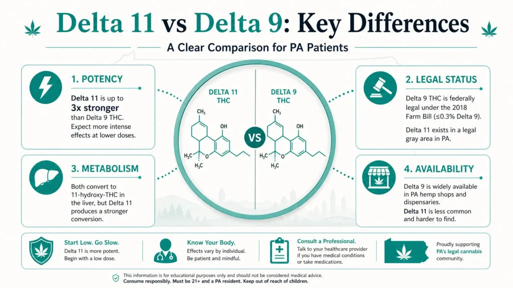 delta 11 vs delta 9 infographic comparing potency effects and legal status in Pennsylvania