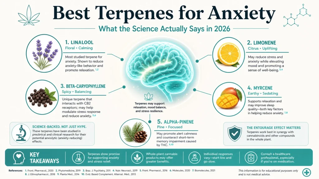 best terpenes for anxiety infographic